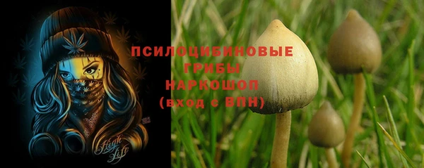 герыч Каменногорск