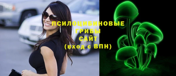 мет Каменка