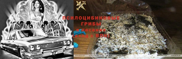 герыч Каменногорск