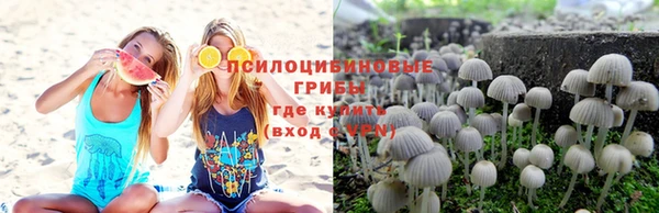 герыч Каменногорск