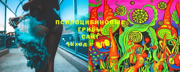 герыч Каменногорск