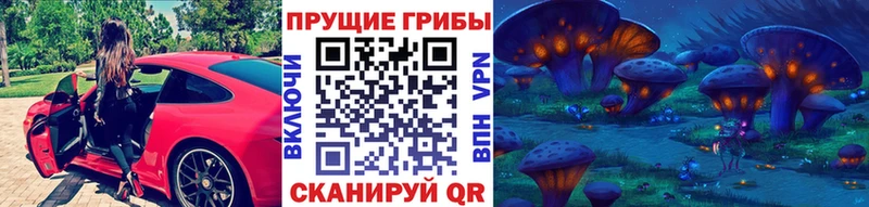 Псилоцибиновые грибы Magic Shrooms  Купить  Шадринск 