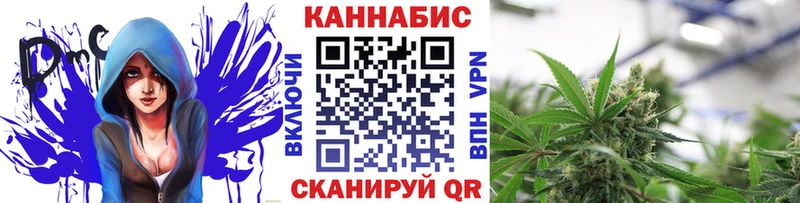 Бошки Шишки семена Шадринск